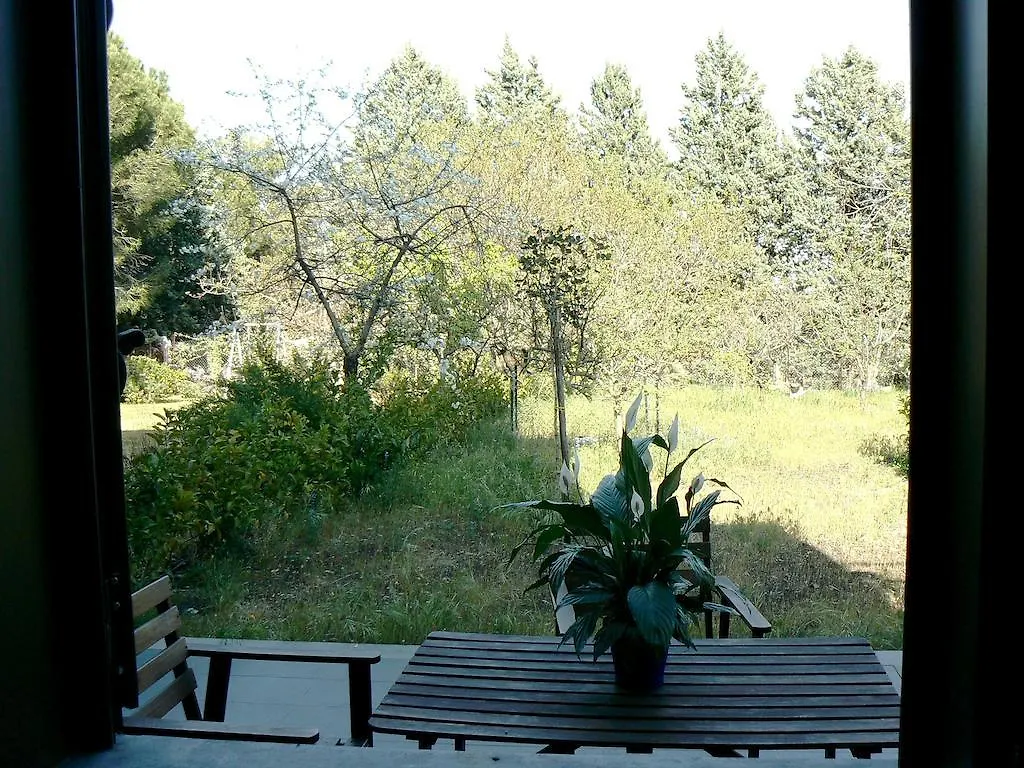 Etna Holiday Home Nicolosi Apartment